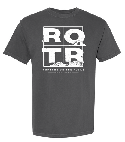 Unisex ROTR Grey Heavyweight Screenprint Shirt